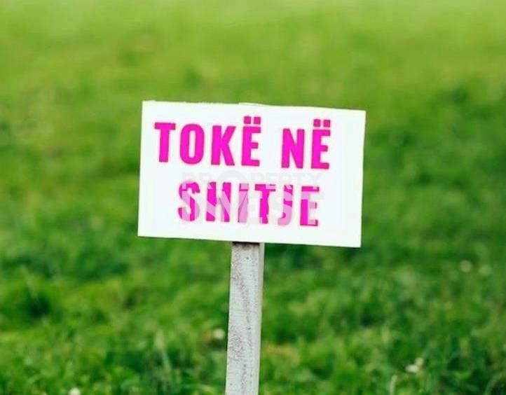SHITET TOKE NE VLORE.